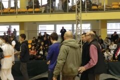 Puchar-Polski-OYAMA-TOP-Radom-2012_724309