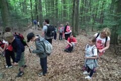 Rajd-w-Gorach-Swietokrzyskich-11-maja-2013-roku_804637