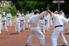 VIII-Festyn-Rodzinny-â€žTrojkiâ€ť----26052012_631109