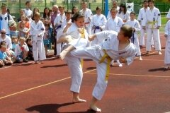 VIII-Festyn-Rodzinny-â€žTrojkiâ€ť----26052012_631420