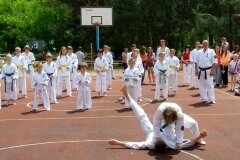 VIII-Festyn-Rodzinny-â€žTrojkiâ€ť----26052012_631505