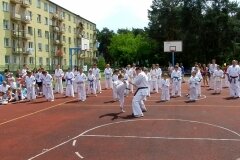 VIII-Festyn-Rodzinny-â€žTrojkiâ€ť----26052012_631529