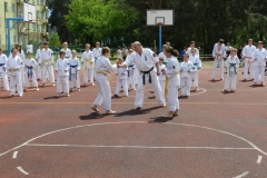 VIII-Festyn-Rodzinny-â€žTrojkiâ€ť----26052012_631580