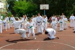 VIII-Festyn-Rodzinny-â€žTrojkiâ€ť----26052012_63169