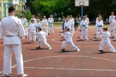 VIII-Festyn-Rodzinny-â€žTrojkiâ€ť----26052012_632310