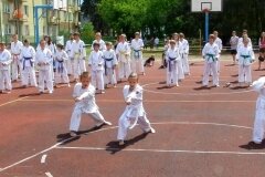 VIII-Festyn-Rodzinny-â€žTrojkiâ€ť----26052012_632313