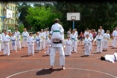 VIII-Festyn-Rodzinny-â€žTrojkiâ€ť----26052012_6324