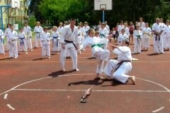 VIII-Festyn-Rodzinny-â€žTrojkiâ€ť----26052012_63318