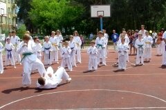 VIII-Festyn-Rodzinny-â€žTrojkiâ€ť----26052012_633223