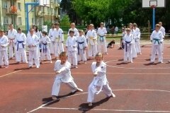 VIII-Festyn-Rodzinny-â€žTrojkiâ€ť----26052012_633239