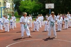 VIII-Festyn-Rodzinny-â€žTrojkiâ€ť----26052012_633288