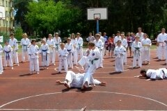 VIII-Festyn-Rodzinny-â€žTrojkiâ€ť----26052012_633406