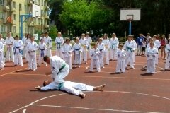 VIII-Festyn-Rodzinny-â€žTrojkiâ€ť----26052012_633805