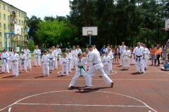 VIII-Festyn-Rodzinny-â€žTrojkiâ€ť----26052012_633937