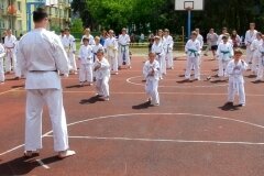 VIII-Festyn-Rodzinny-â€žTrojkiâ€ť----26052012_633989