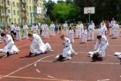 VIII-Festyn-Rodzinny-â€žTrojkiâ€ť----26052012_634028