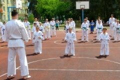 VIII-Festyn-Rodzinny-â€žTrojkiâ€ť----26052012_634168