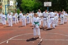 VIII-Festyn-Rodzinny-â€žTrojkiâ€ť----26052012_6342