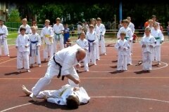 VIII-Festyn-Rodzinny-â€žTrojkiâ€ť----26052012_634690