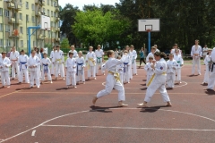 VIII-Festyn-Rodzinny-â€žTrojkiâ€ť----26052012_634970