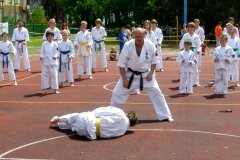 VIII-Festyn-Rodzinny-â€žTrojkiâ€ť----26052012_635199