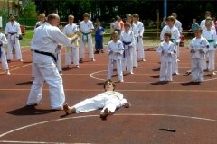 VIII-Festyn-Rodzinny-â€žTrojkiâ€ť----26052012_635282