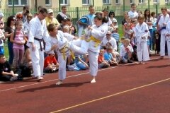 VIII-Festyn-Rodzinny-â€žTrojkiâ€ť----26052012_635456