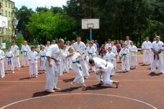 VIII-Festyn-Rodzinny-â€žTrojkiâ€ť----26052012_635463