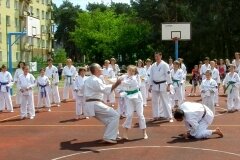 VIII-Festyn-Rodzinny-â€žTrojkiâ€ť----26052012_635509