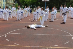 VIII-Festyn-Rodzinny-â€žTrojkiâ€ť----26052012_635563