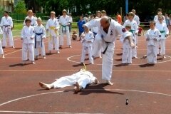 VIII-Festyn-Rodzinny-â€žTrojkiâ€ť----26052012_635591