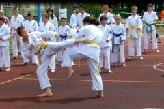 VIII-Festyn-Rodzinny-â€žTrojkiâ€ť----26052012_635640