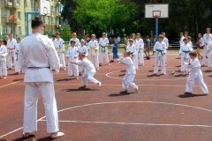 VIII-Festyn-Rodzinny-â€žTrojkiâ€ť----26052012_635698