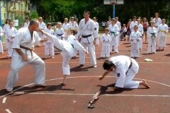 VIII-Festyn-Rodzinny-â€žTrojkiâ€ť----26052012_635830