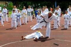 VIII-Festyn-Rodzinny-â€žTrojkiâ€ť----26052012_636256