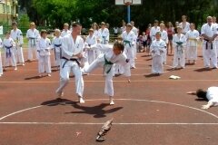 VIII-Festyn-Rodzinny-â€žTrojkiâ€ť----26052012_636437