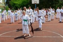 VIII-Festyn-Rodzinny-â€žTrojkiâ€ť----26052012_636565