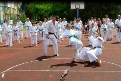 VIII-Festyn-Rodzinny-â€žTrojkiâ€ť----26052012_636728