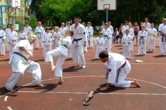 VIII-Festyn-Rodzinny-â€žTrojkiâ€ť----26052012_63717