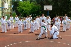 VIII-Festyn-Rodzinny-â€žTrojkiâ€ť----26052012_637243