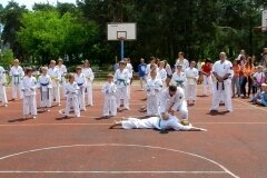 VIII-Festyn-Rodzinny-â€žTrojkiâ€ť----26052012_637741