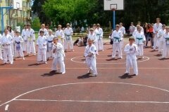 VIII-Festyn-Rodzinny-â€žTrojkiâ€ť----26052012_637771