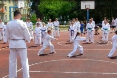 VIII-Festyn-Rodzinny-â€žTrojkiâ€ť----26052012_638594