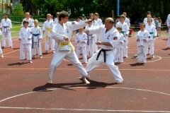 VIII-Festyn-Rodzinny-â€žTrojkiâ€ť----26052012_639020