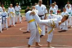 VIII-Festyn-Rodzinny-â€žTrojkiâ€ť----26052012_639034