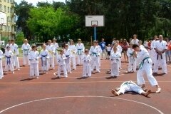 VIII-Festyn-Rodzinny-â€žTrojkiâ€ť----26052012_63929