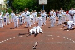 VIII-Festyn-Rodzinny-â€žTrojkiâ€ť----26052012_639456