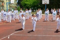 VIII-Festyn-Rodzinny-â€žTrojkiâ€ť----26052012_639596