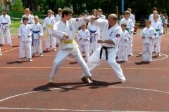 VIII-Festyn-Rodzinny-â€žTrojkiâ€ť----26052012_639598