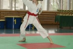 XIII-Turniej-NKSW-Wulkan-w-kata-9-czerwca-2012-r_651639